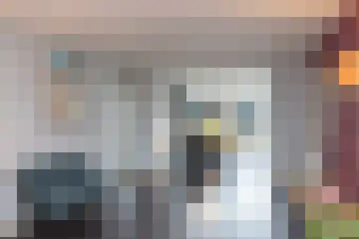 De Snieder 38 Groenlo thumbnail 5