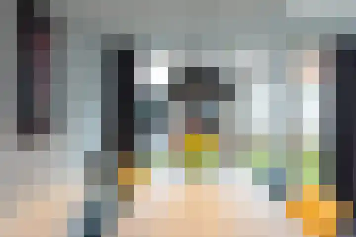 De Snieder 38 Groenlo thumbnail 8
