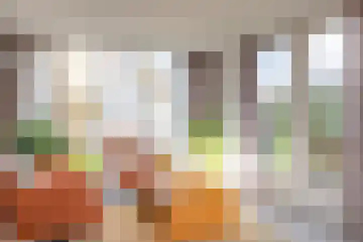 De Snieder 54 Groenlo thumbnail 10