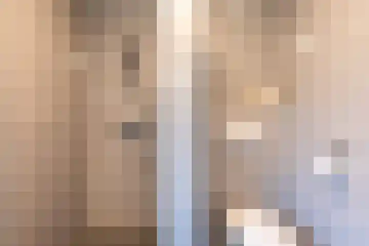 De Snieder 54 Groenlo thumbnail 16