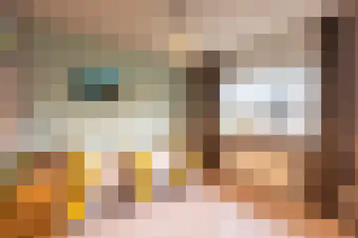 De Snieder 54 Groenlo thumbnail 17