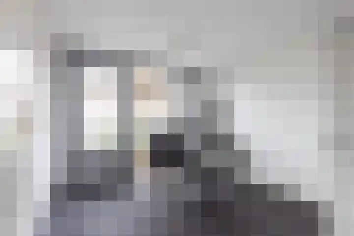 De Snieder 54 Groenlo thumbnail 23