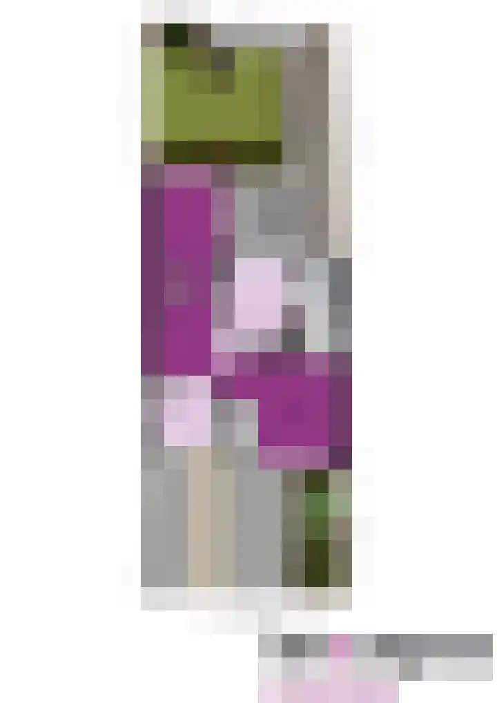 De Snieder 54 Groenlo thumbnail 28