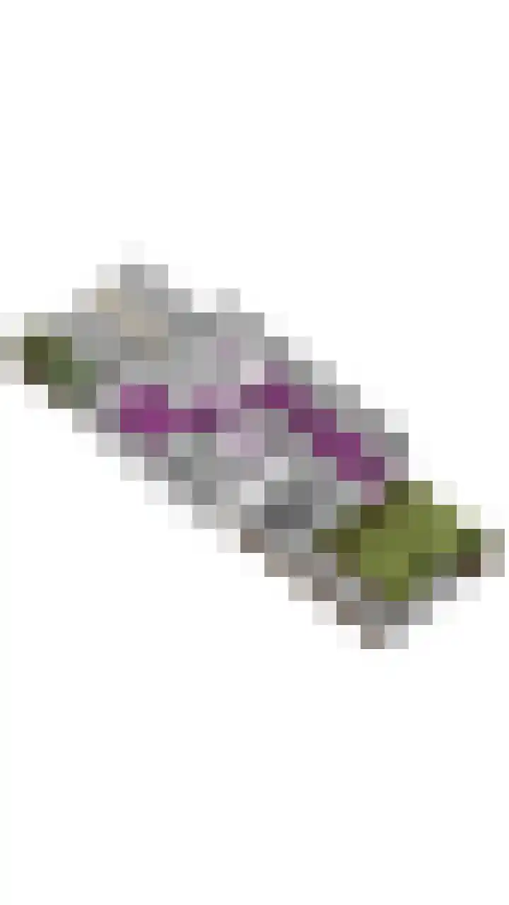 De Snieder 54 Groenlo thumbnail 32
