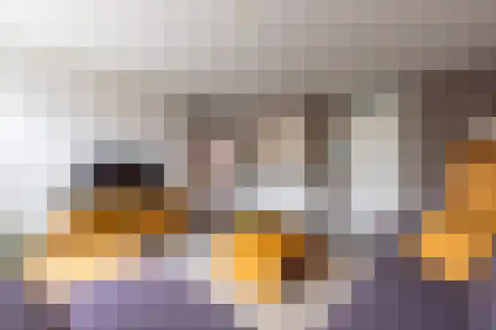 De Snieder 54 Groenlo thumbnail 7