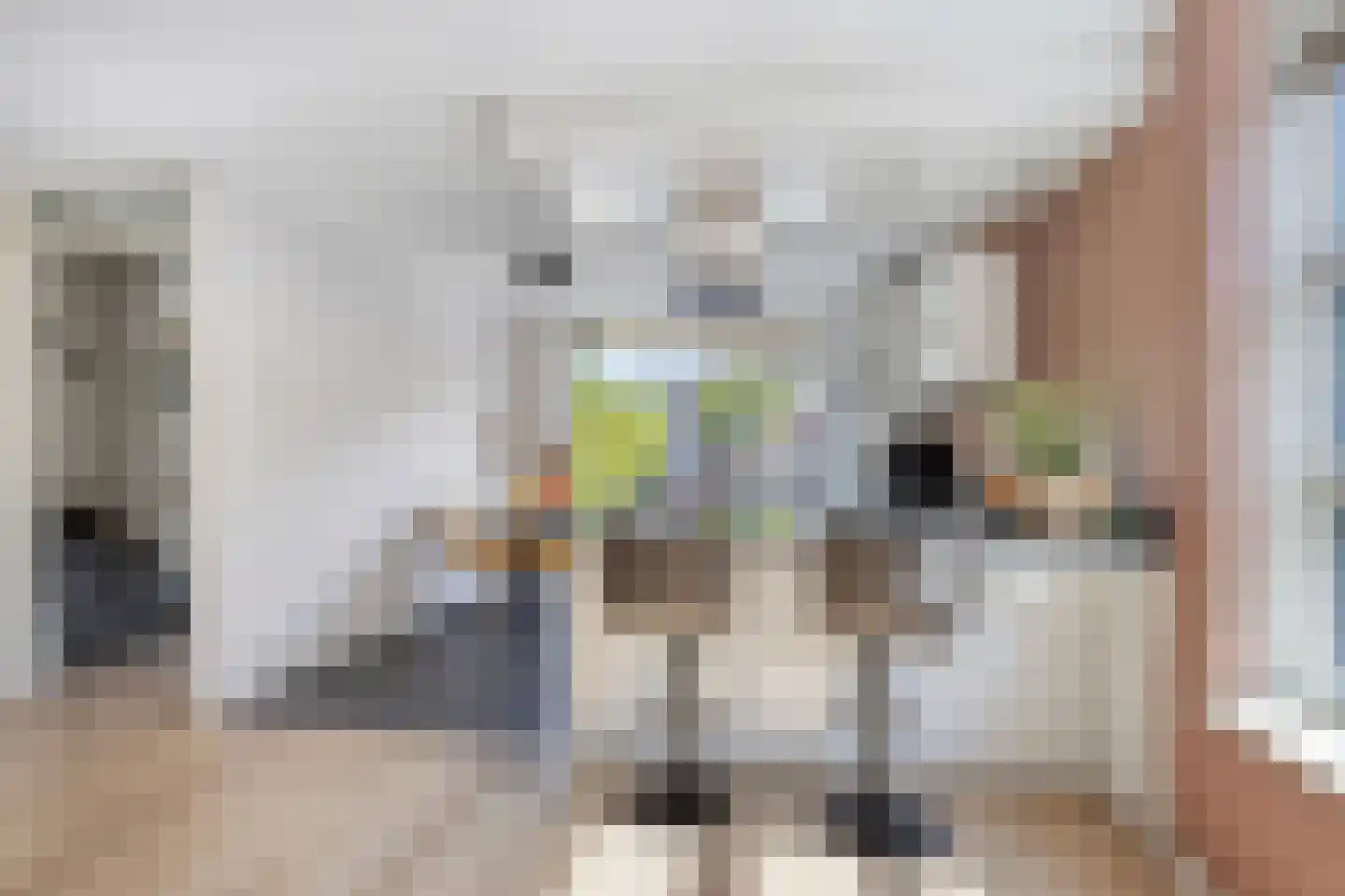 De Snieder 64 Groenlo thumbnail 11