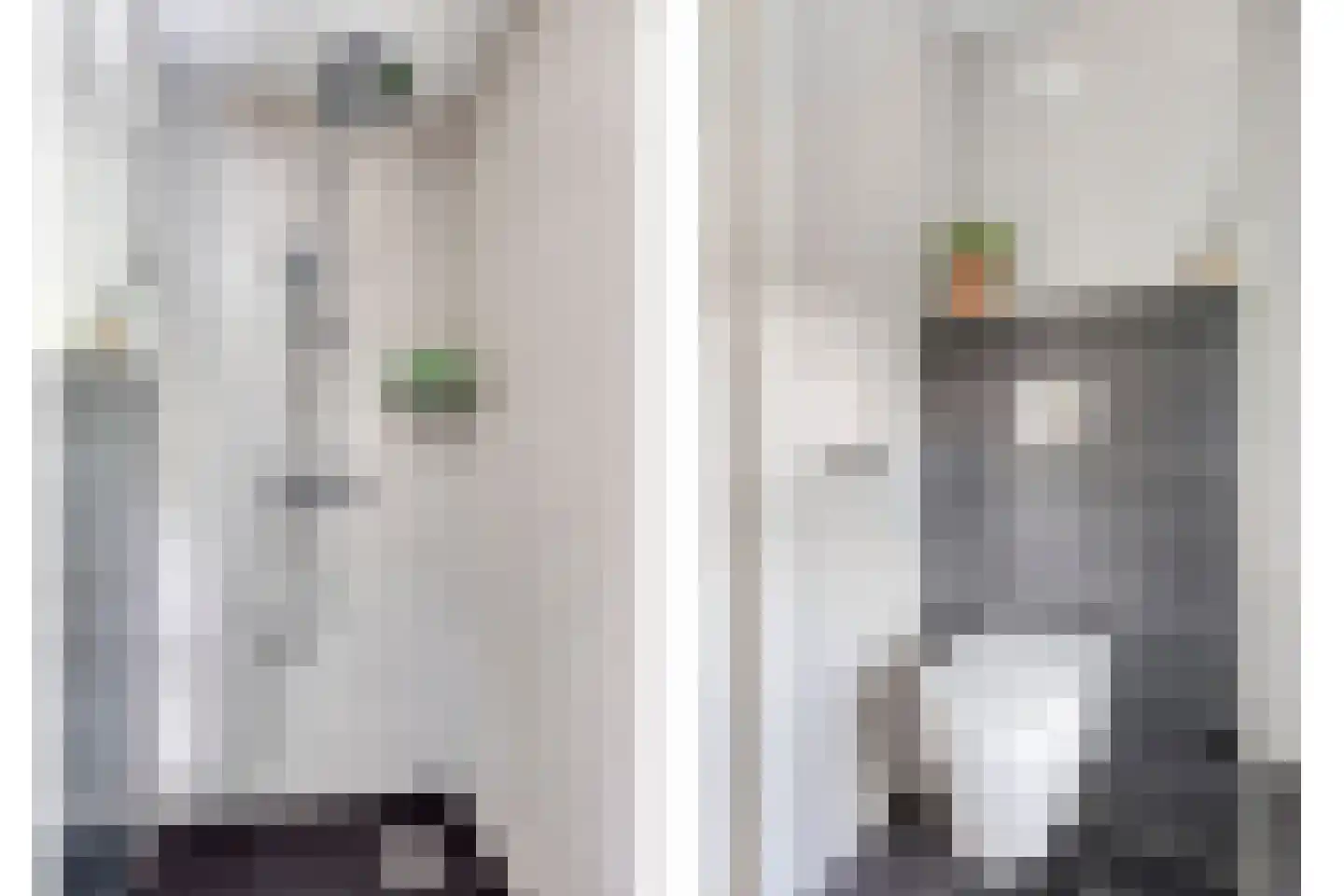 De Snieder 64 Groenlo thumbnail 27