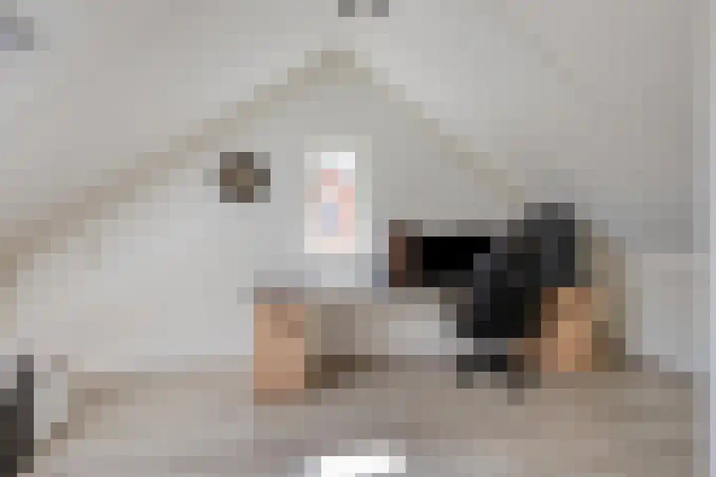 De Snieder 64 Groenlo thumbnail 30