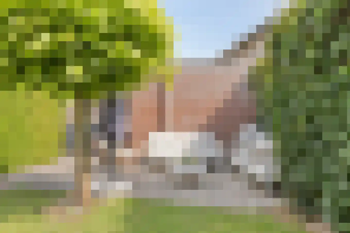 De Snieder 64 Groenlo thumbnail 33