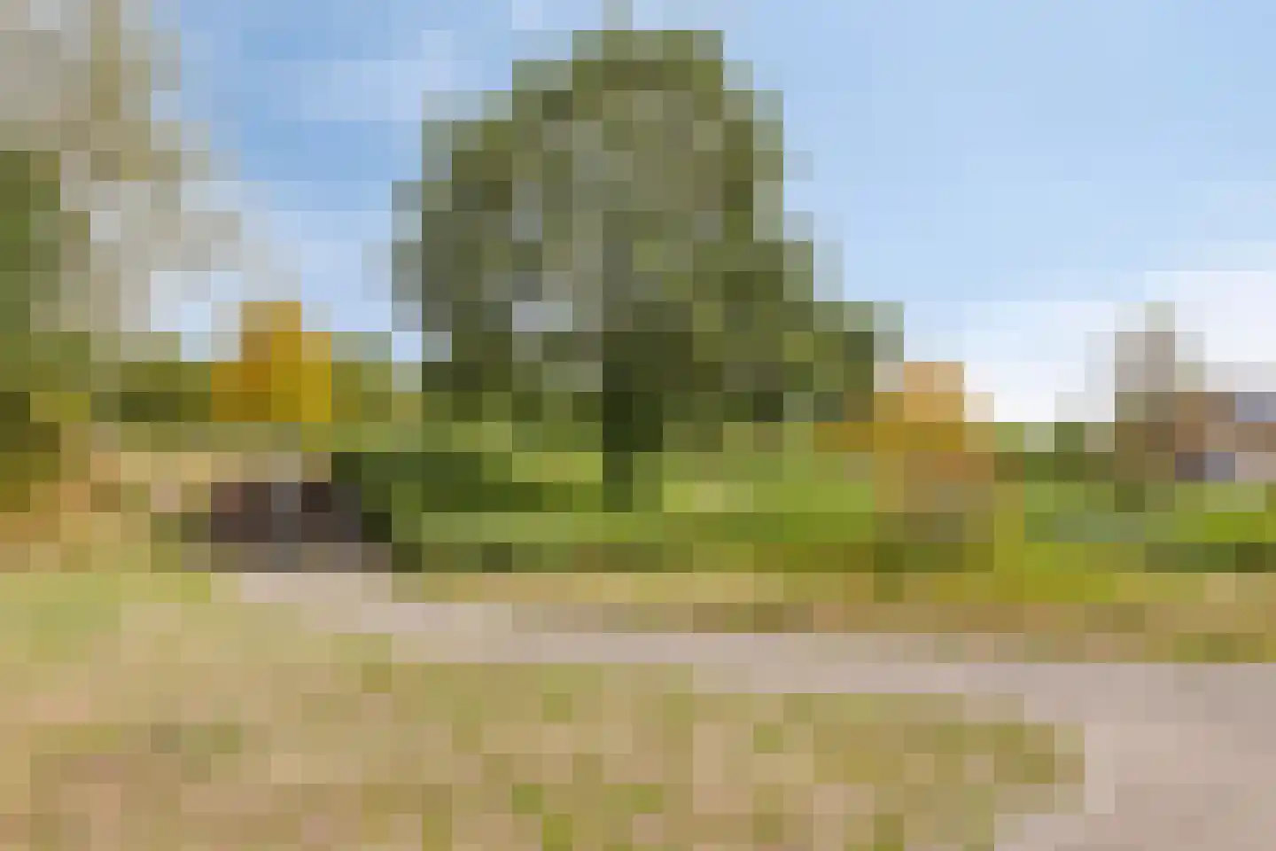 De Snieder 64 Groenlo thumbnail 37