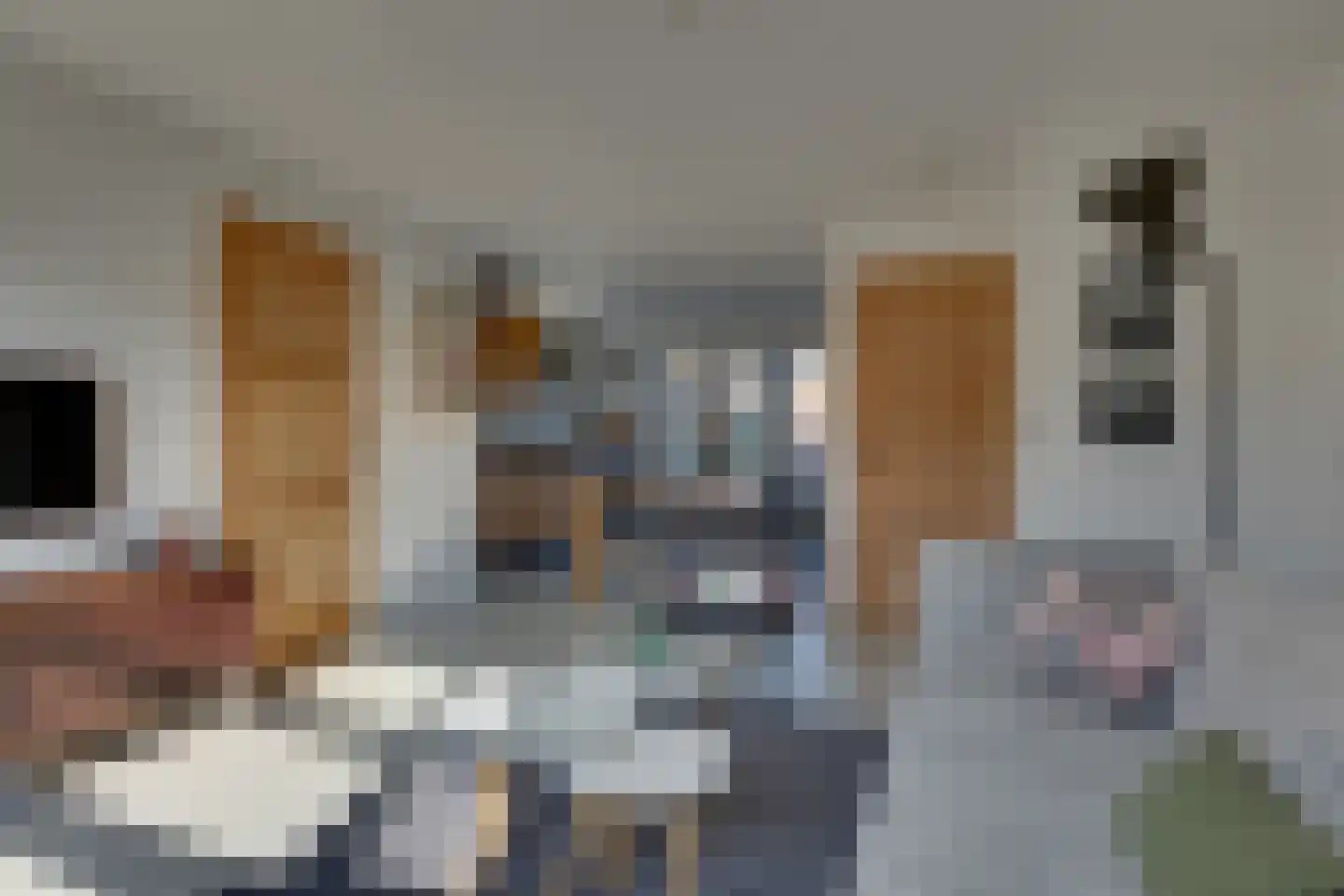 De Snieder 88 Groenlo thumbnail 10