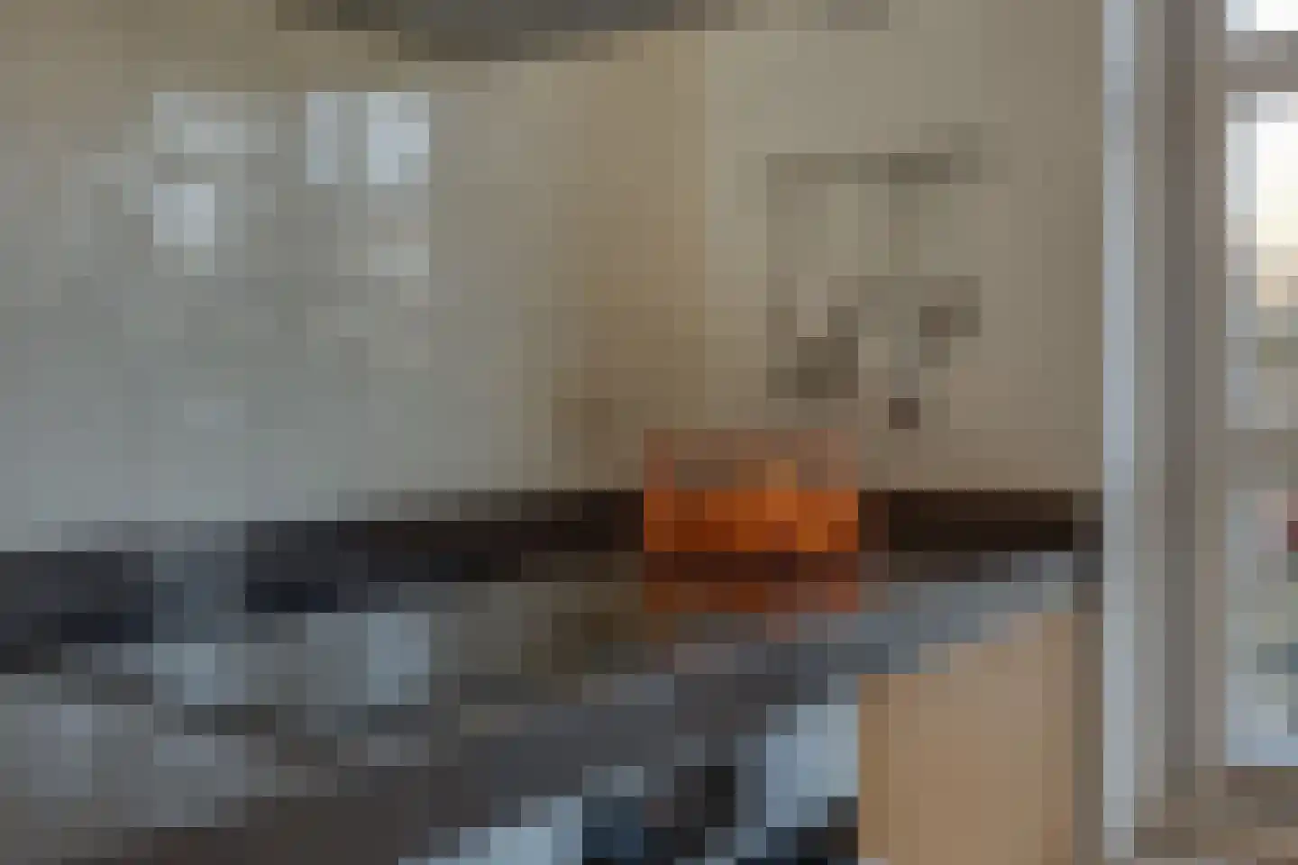 De Snieder 88 Groenlo thumbnail 13