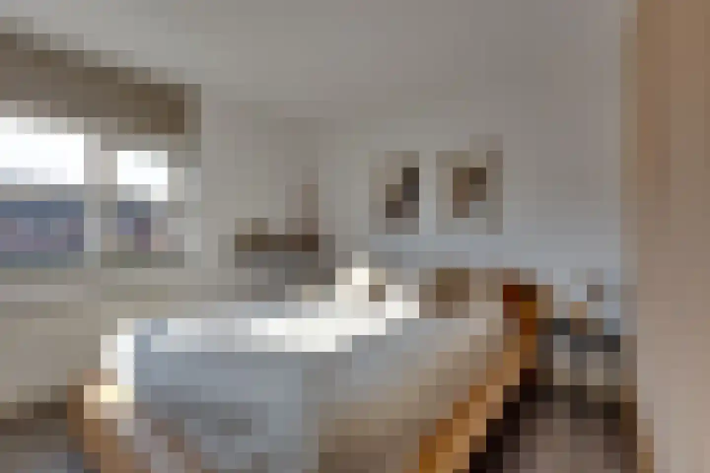 De Snieder 88 Groenlo thumbnail 25