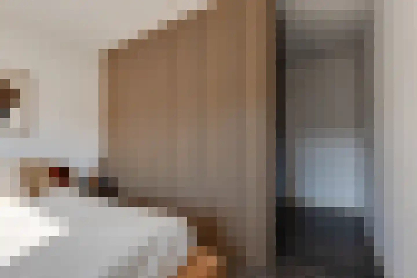 De Snieder 88 Groenlo thumbnail 27