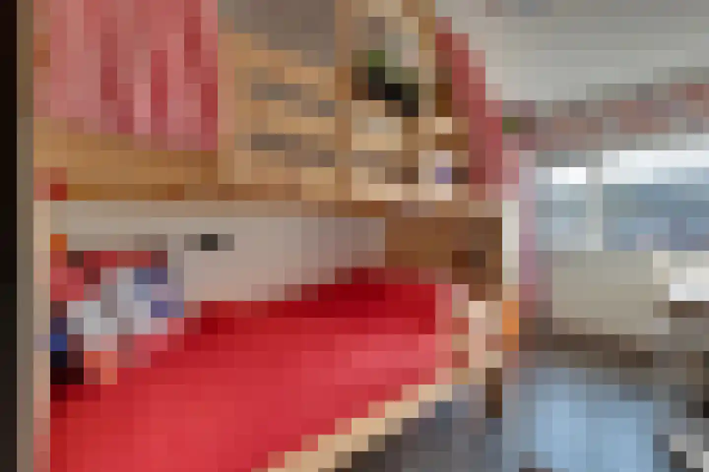 De Snieder 88 Groenlo thumbnail 31