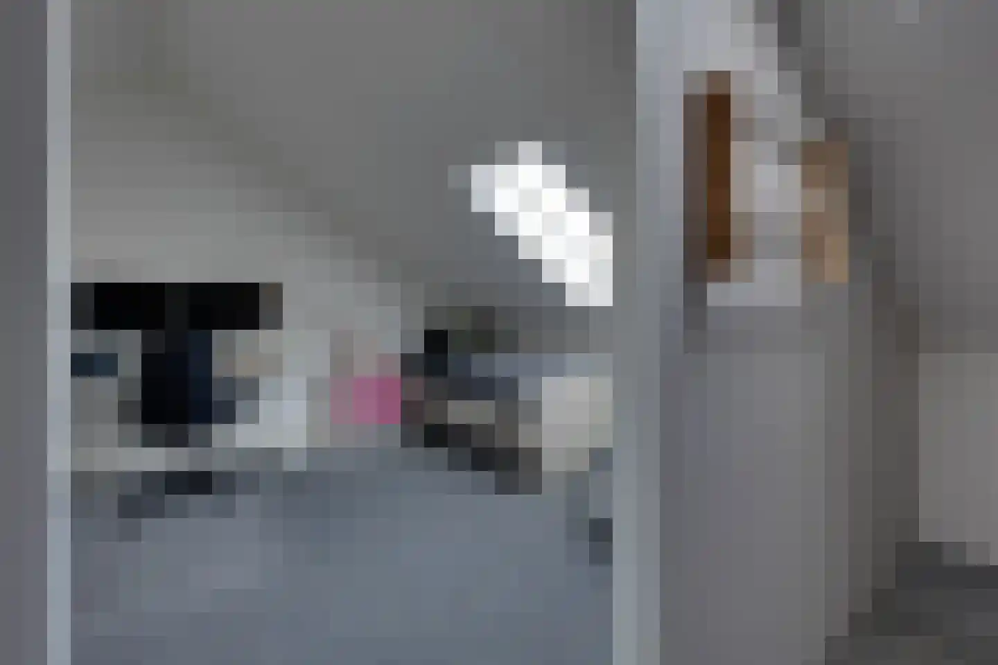 De Snieder 88 Groenlo thumbnail 37