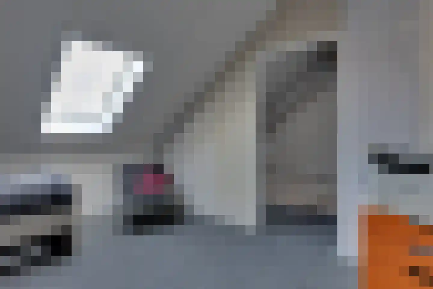 De Snieder 88 Groenlo thumbnail 39