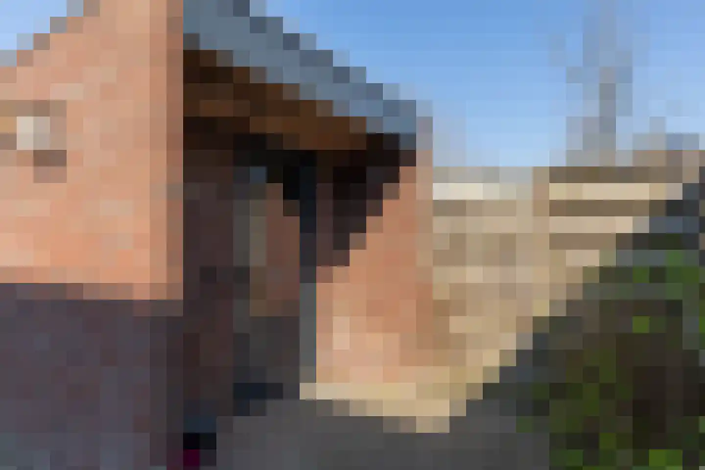 De Snieder 88 Groenlo thumbnail 44