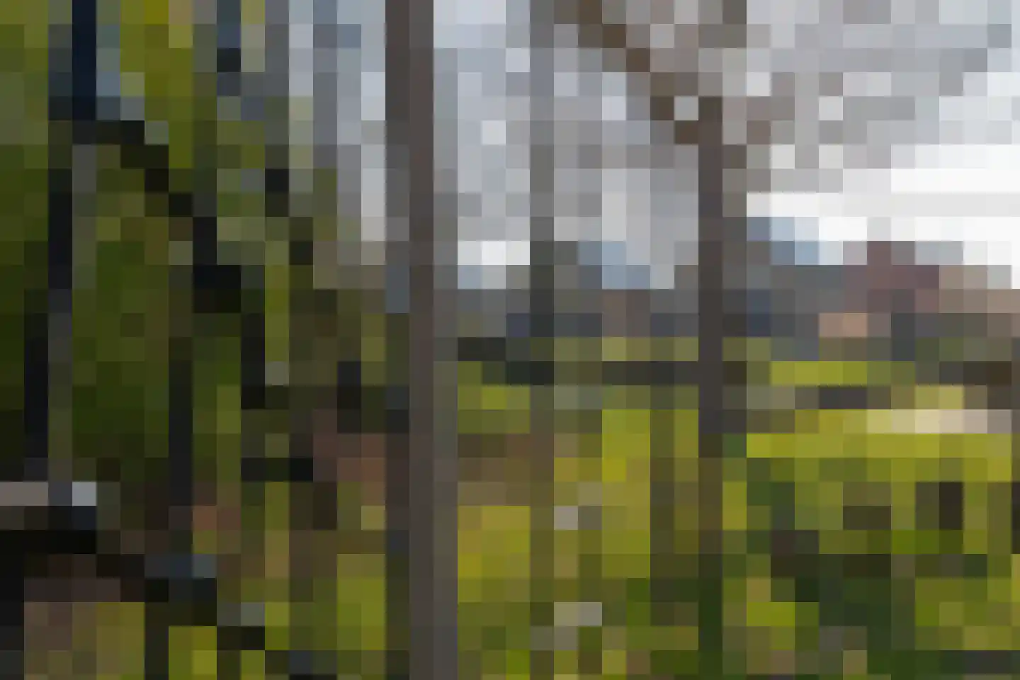 De Snieder 88 Groenlo thumbnail 50