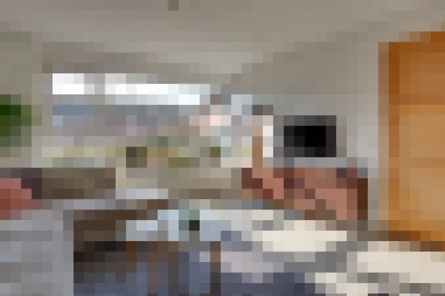 De Snieder 88 Groenlo thumbnail 8