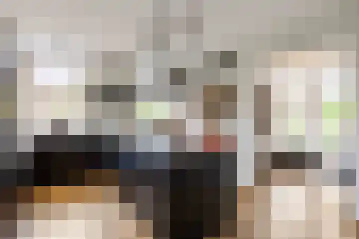 De Snik 10 Zoutkamp thumbnail 11