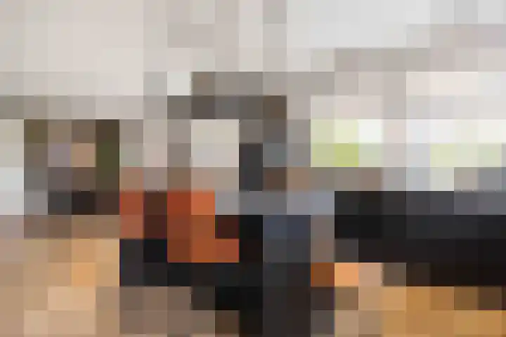 De Snik 10 Zoutkamp thumbnail 13