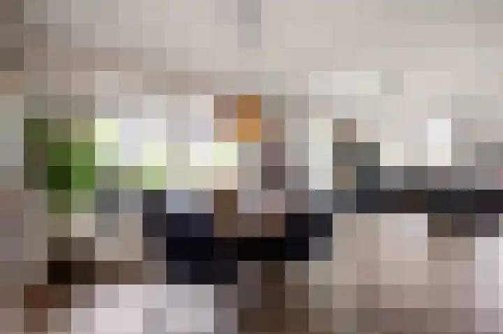 De Snik 10 Zoutkamp thumbnail 15