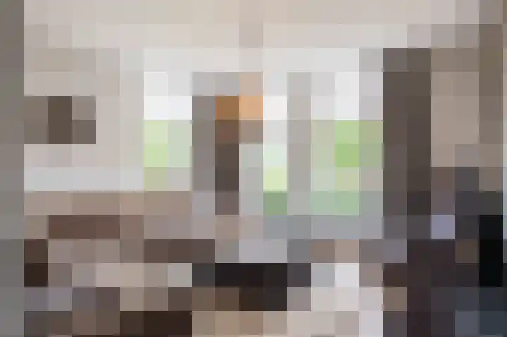 De Snik 10 Zoutkamp thumbnail 16