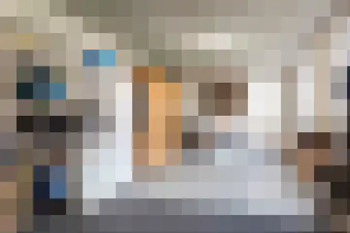De Snik 10 Zoutkamp thumbnail 21