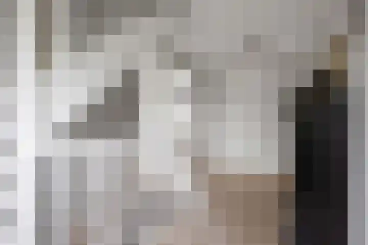 De Snik 10 Zoutkamp thumbnail 23