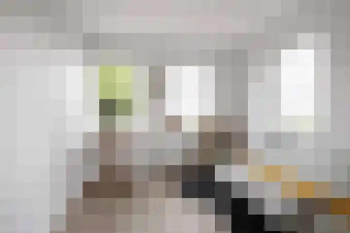 De Snik 10 Zoutkamp thumbnail 25