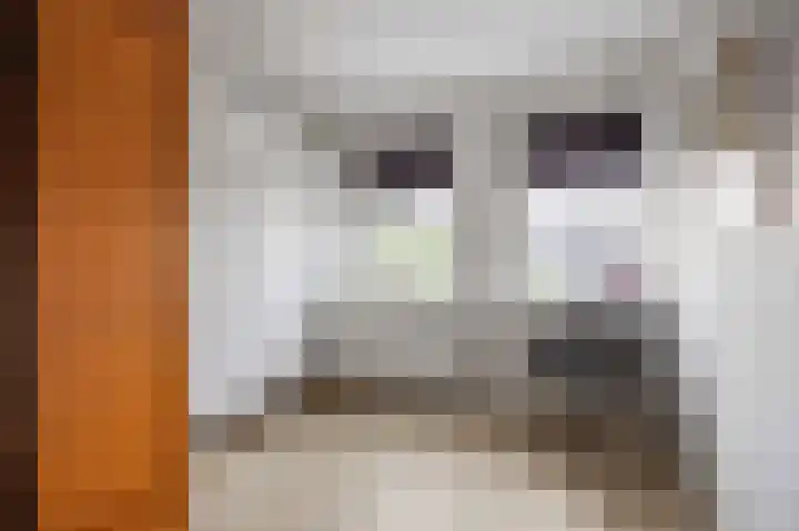 De Snik 10 Zoutkamp thumbnail 28