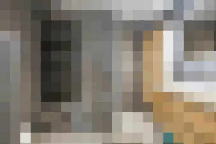 De Snik 10 Zoutkamp thumbnail 30