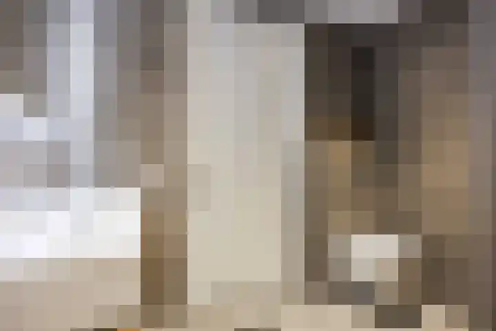 De Snik 10 Zoutkamp thumbnail 32