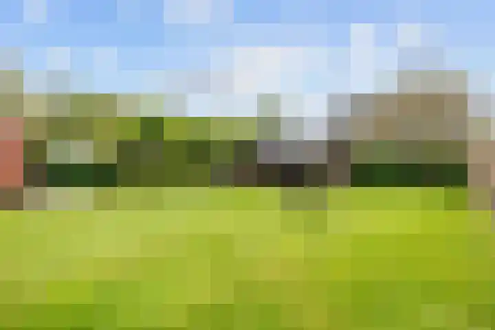 De Snik 10 Zoutkamp thumbnail 36