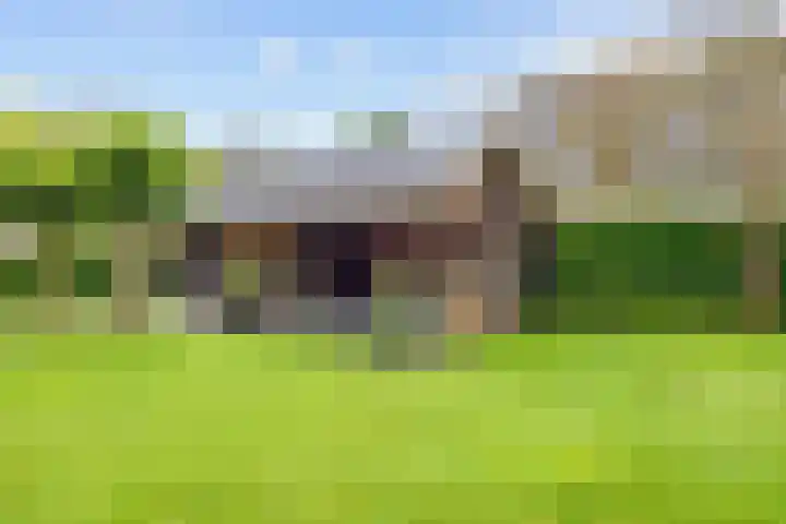 De Snik 10 Zoutkamp thumbnail 37