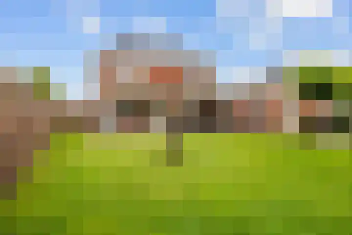 De Snik 10 Zoutkamp thumbnail 39