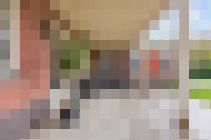 De Snik 10 Zoutkamp thumbnail 41