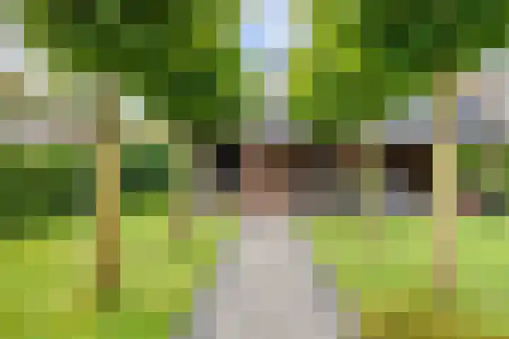 De Snik 10 Zoutkamp thumbnail 42
