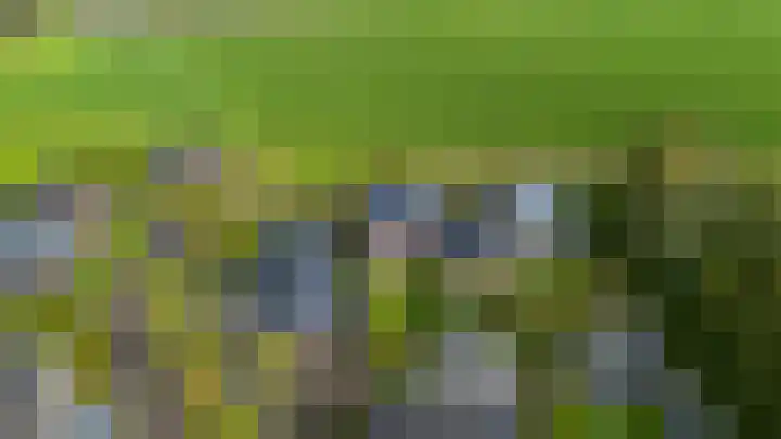 De Snik 10 Zoutkamp thumbnail 45