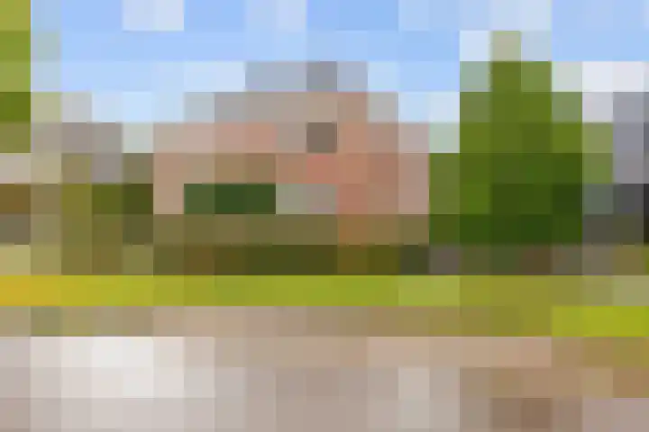 De Snik 10 Zoutkamp thumbnail 5