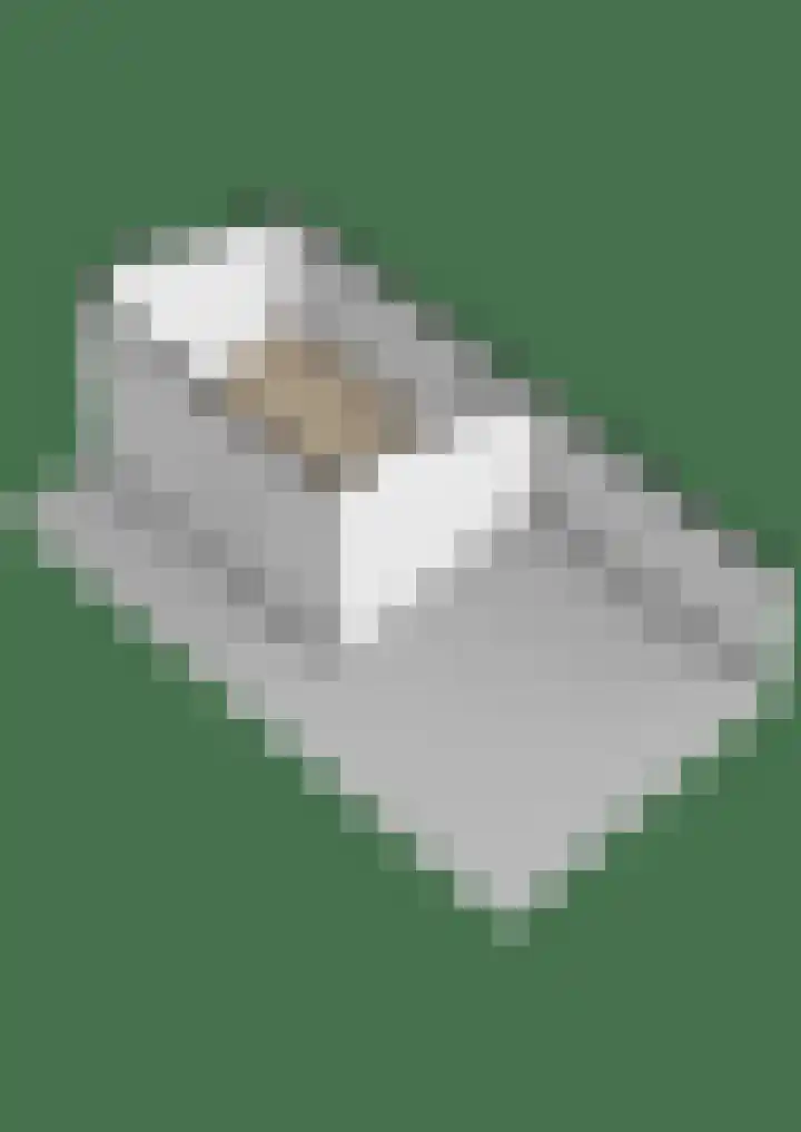 De Snik 10 Zoutkamp thumbnail 53