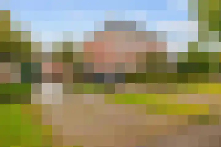 De Snik 10 Zoutkamp thumbnail 6