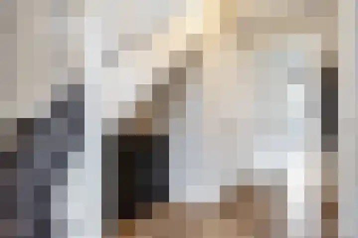 De Snik 10 Zoutkamp thumbnail 8