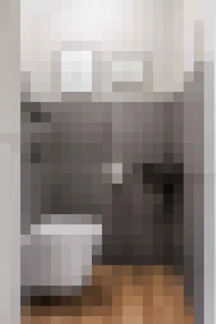 De Snik 10 Zoutkamp thumbnail 9