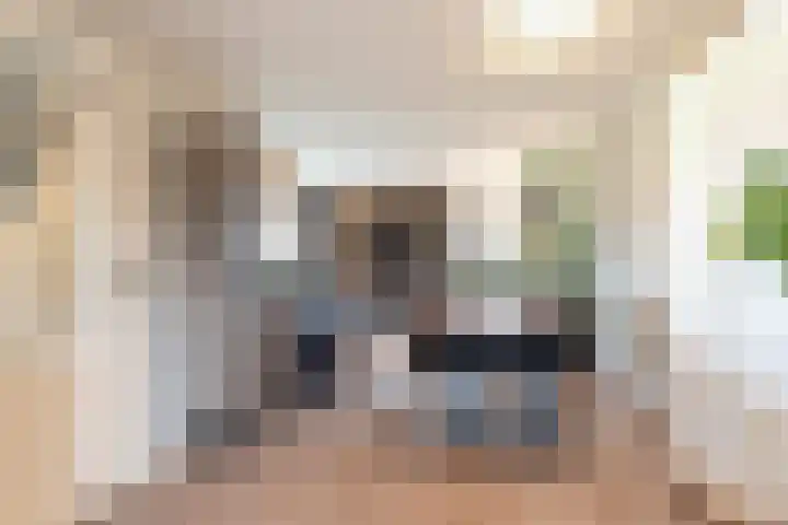 De Snik 28 Zoutkamp thumbnail 12