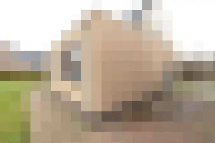 De Snik 28 Zoutkamp thumbnail 21