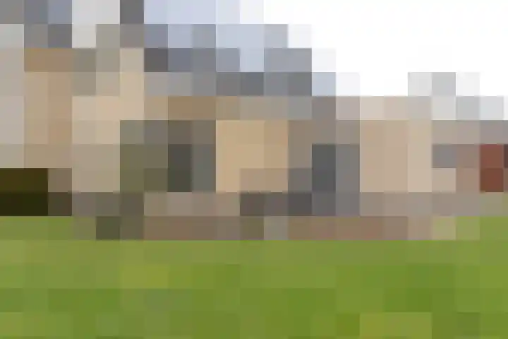 De Snik 28 Zoutkamp thumbnail 38
