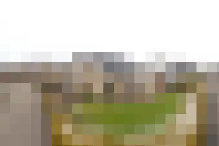 De Snik 28 Zoutkamp thumbnail 40