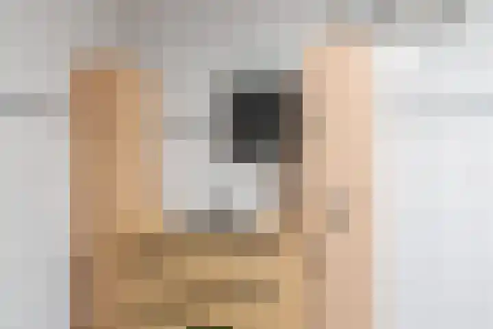 De Snikke 11 Wolvega thumbnail 13
